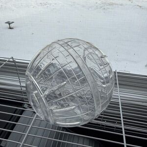 Clear Plastic Hamster Ball